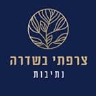 צרפתי בשדרה
