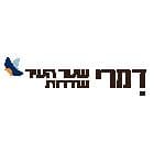 דמרי שער העיר
