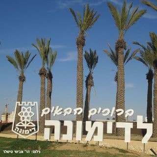 נחתם הסכם גג לעיר דימונה