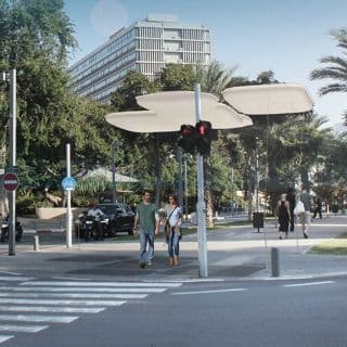 הצל שלי ואני
