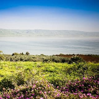מיישבי הגליל בונה פרויקט של בתי קיט  שצופים לכנרת בשם מצפה בראשית