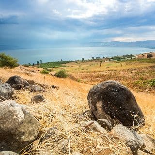 מועצת מקרקעי ישראל החליטה להוזיל את מחיר הקרקע בגליל