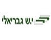 קבוצת גבריאלי בע"מ