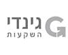גינדי השקעות