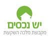 יש נכסים