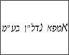 אמפא נדל''ן בע''מ