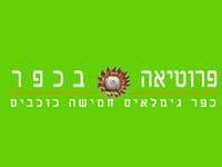כפר הגמלאים הראשון בישראל, ''פרוטיאה בכפר'',  חוגג שמונה שנים לקיומו