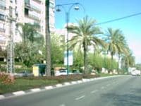 דרך השרף ברמת השרון יוצאת לדרך. התכנון לא יפגע בערכי הדירות בסביבה.