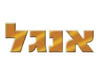 אנגל אירופה רכשה 55 דונם קרקע בנתניה תמורת 34.5 מיליון שקלים , הקרקע תשמש לבניית 190 יחידות דיור.