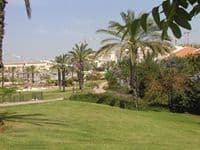 בשוהם הביקוש לדירות נמשך, אך המחירים לא זוחלים כלפי מעלה. בינתיים.